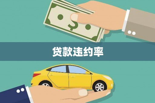 右玉贷款违约率
