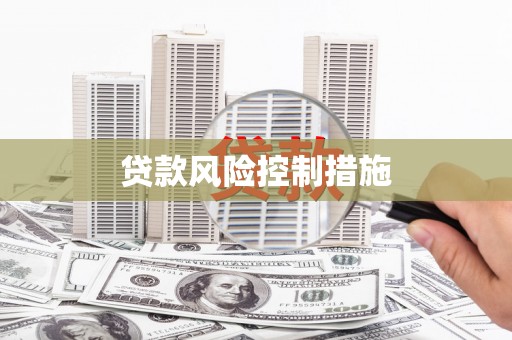 右玉贷款风险控制措施