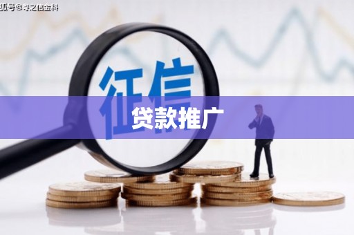 右玉贷款推广