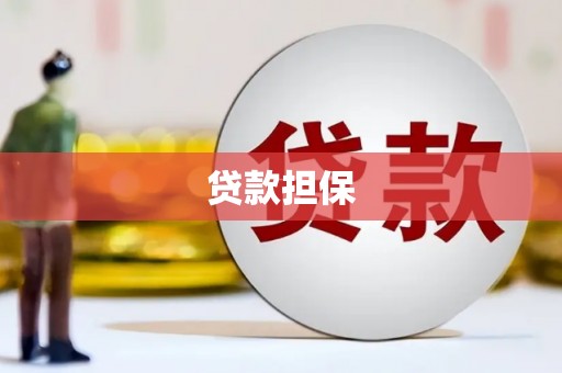 右玉贷款担保
