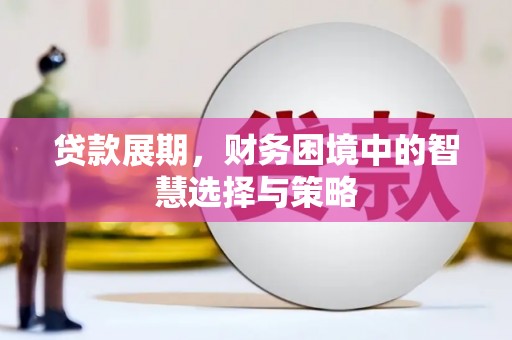 右玉贷款展期，财务困境中的智慧选择与策略