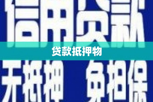 右玉贷款抵押物