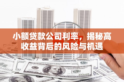 右玉小额贷款公司利率，揭秘高收益背后的风险与机遇
