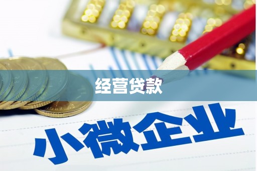 右玉经营贷款
