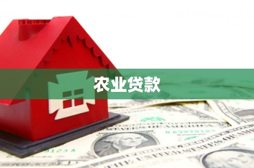 右玉农业贷款