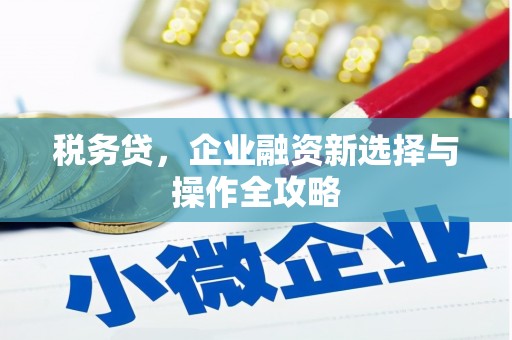 右玉税务贷，企业融资新选择与操作全攻略