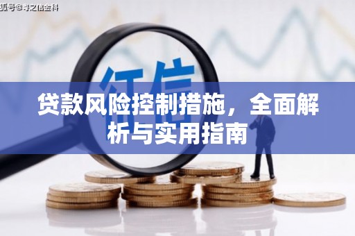 右玉贷款风险控制措施，全面解析与实用指南