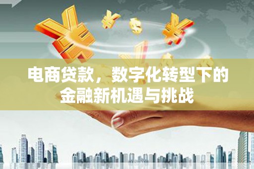 右玉电商贷款，数字化转型下的金融新机遇与挑战