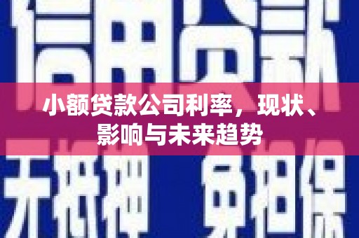 右玉小额贷款公司利率，现状、影响与未来趋势