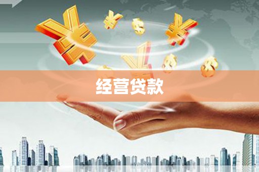 右玉经营贷款