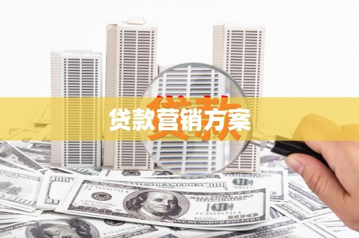 右玉贷款营销方案