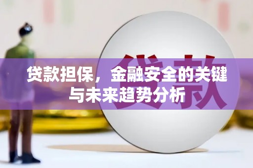 右玉贷款担保，金融安全的关键与未来趋势分析