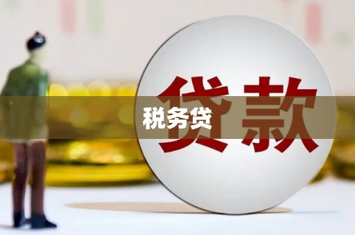 右玉税务贷