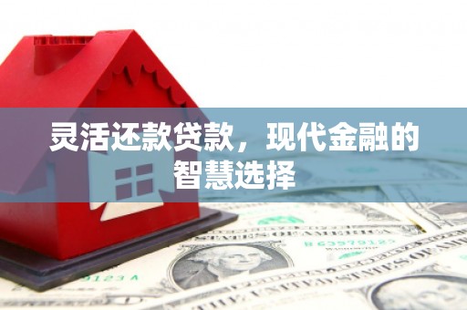 右玉灵活还款贷款，现代金融的智慧选择