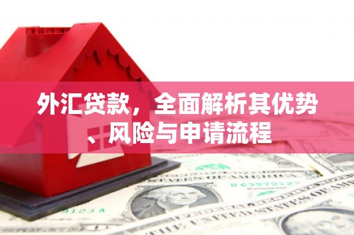 右玉外汇贷款，全面解析其优势、风险与申请流程