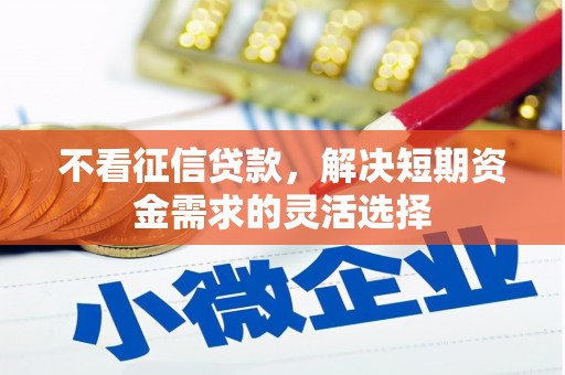 右玉不看征信贷款，解决短期资金需求的灵活选择