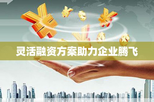 右玉灵活融资方案助力企业腾飞