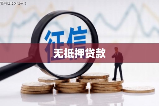 右玉无抵押贷款