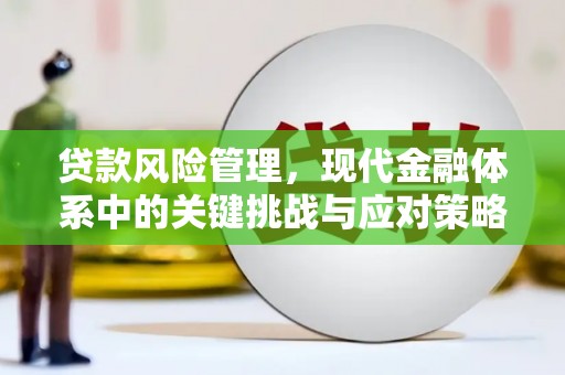 右玉贷款风险管理，现代金融体系中的关键挑战与应对策略