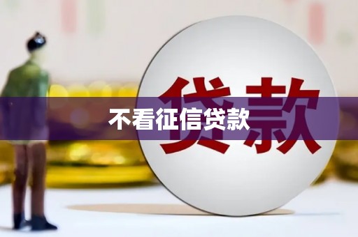 右玉不看征信贷款
