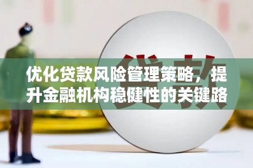 右玉优化贷款风险管理策略，提升金融机构稳健性的关键路径