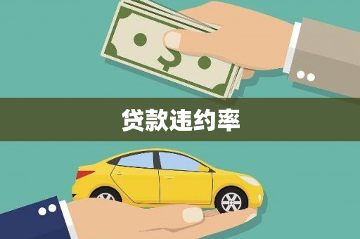 右玉贷款违约率