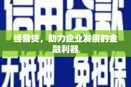 右玉经营贷，助力企业发展的金融利器