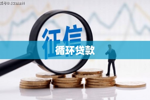 右玉循环贷款