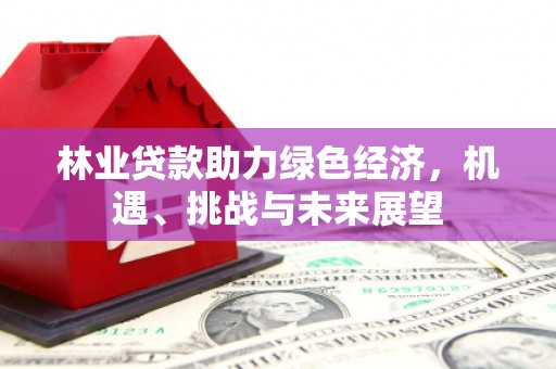 右玉林业贷款助力绿色经济，机遇、挑战与未来展望