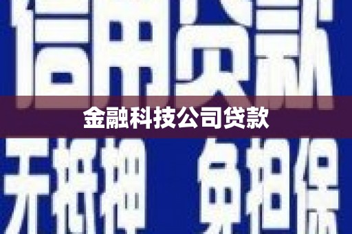 右玉金融科技公司贷款