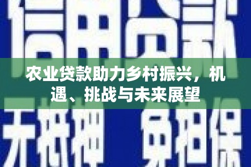 右玉农业贷款助力乡村振兴，机遇、挑战与未来展望