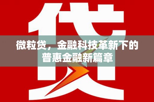 右玉微粒贷，金融科技革新下的普惠金融新篇章