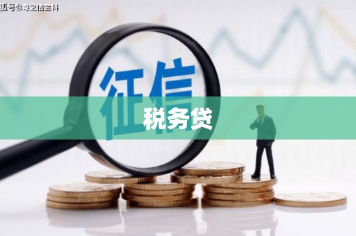 右玉税务贷