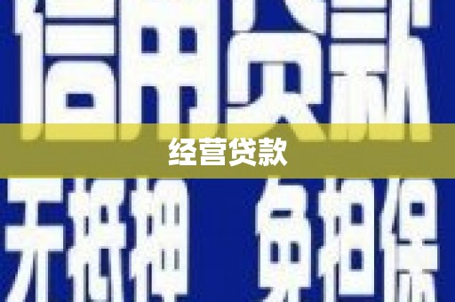 右玉经营贷款