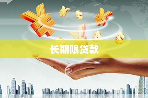 右玉长期限贷款