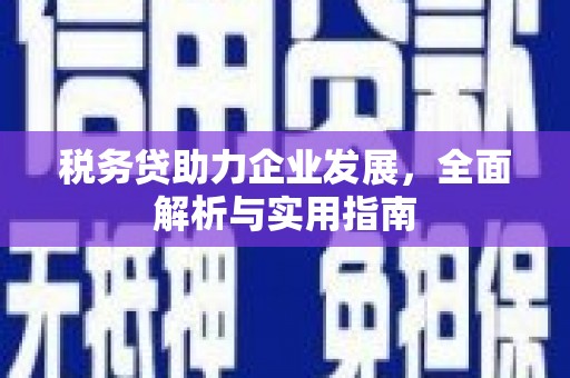 右玉税务贷助力企业发展，全面解析与实用指南