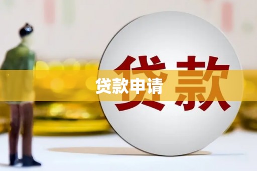 右玉贷款申请