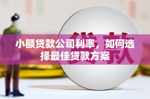 右玉小额贷款公司利率，如何选择最佳贷款方案