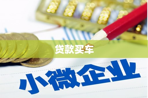 右玉贷款买车