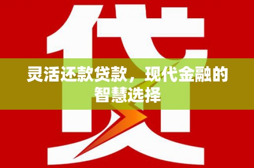 右玉灵活还款贷款，现代金融的智慧选择