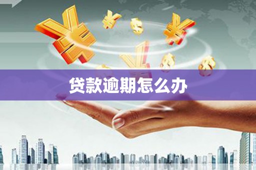 右玉贷款逾期怎么办