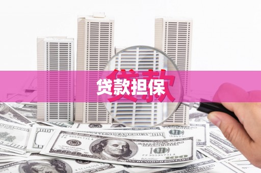 右玉贷款担保