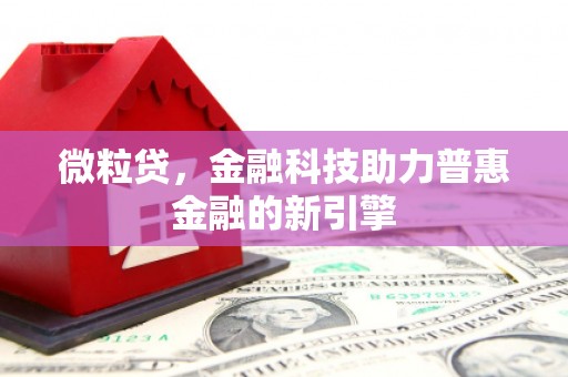 右玉微粒贷，金融科技助力普惠金融的新引擎