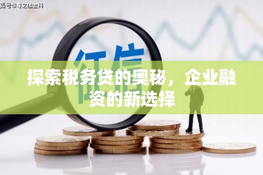 右玉探索税务贷的奥秘，企业融资的新选择