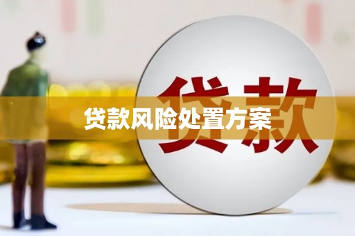 右玉贷款风险处置方案