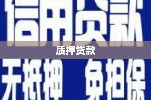 右玉质押贷款