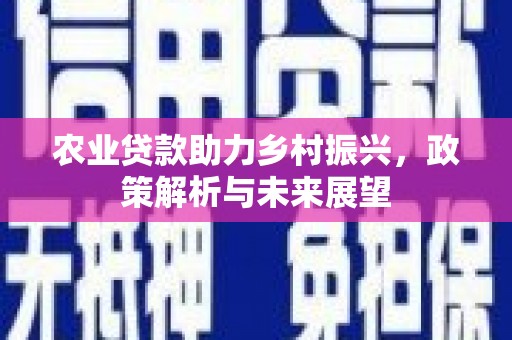 右玉农业贷款助力乡村振兴，政策解析与未来展望