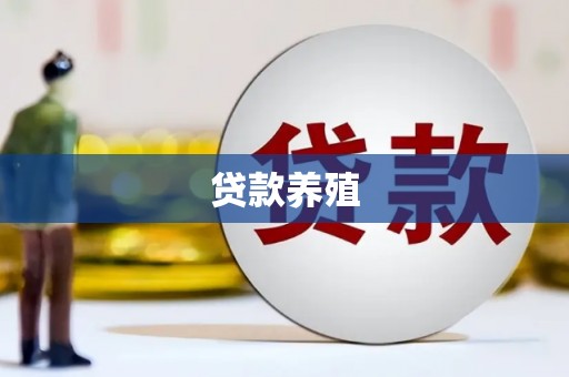 右玉贷款养殖