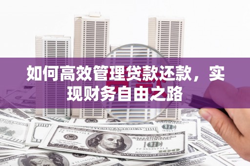 右玉如何高效管理贷款还款，实现财务自由之路