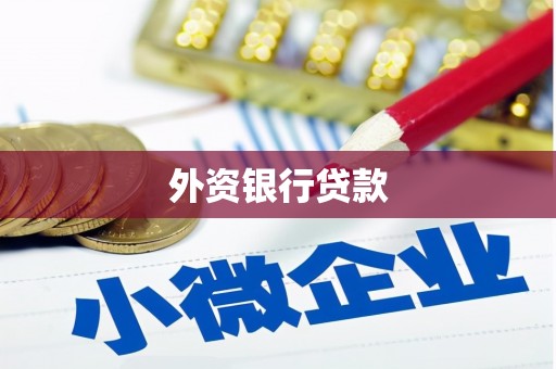 右玉外资银行贷款